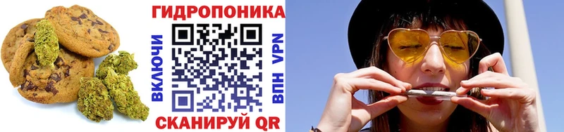 Canna-Cookies конопля  Купить где  Инта 