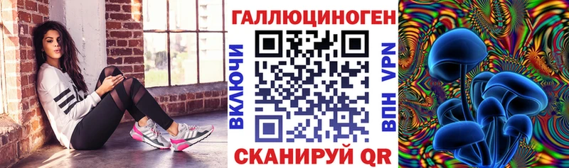 Псилоцибиновые грибы Cubensis  Купить где  Инта 